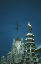 White Stork standing by nest in chimney pot in Avila Spain