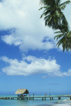 Boat jetty with thatched shelter seen from beneath coconut palm tree on the beach