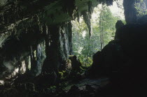 Niah Caves interior looking out towards the jungle