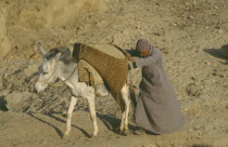 Donkey laden with panniers of building materials supported by man as they walk along pathway.