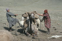 Couple tying load onto camel in preparation to leave camp.