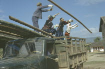 Tia minority women unloading bamboo from truck for use as roofing material.