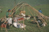 Kazakh nomads building kigizuy  erecting circular frame.yurt Ger