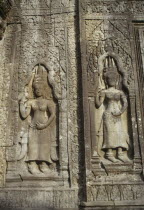 Ta Prohm.  Seventeenth century Buddhist temple  detail of wall carvings.