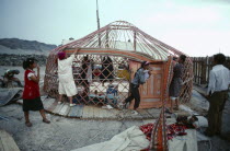 Women erecting framework for a yurt.domestic  home Ger