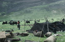 Tibetan nomads erecting tent at new yak camp