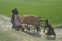 Group of men transporting load of bricks using three wheel bicycle with wooden platform.