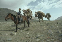 Child on horse leading loaded camel train to new camp.