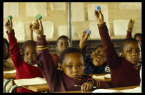 Classroom scene.  Young pupils raising hands.