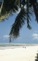 Golden sandy beach with people waliking framed by over hanging Palm tree