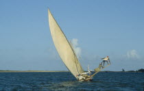 Dhow Off Coast