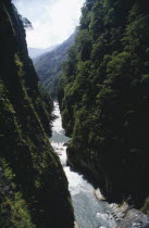 Deep gorge with fast flowing river at the bottom of the steep cliffs covered with greenery