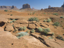 Rock formations from John Ford Point seen in morning light with plants in the foreground