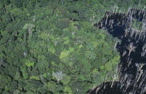 Aerial view over tropical rainforest drowned by the Tucurui reservoir on the Tocantins River. Brasil