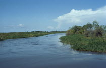 Igarape Jari near Carariaca.  Amazon floodplain at high water. Brasil