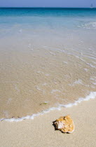 Conch shell on beach at Grand BayBeaches Caribbean Resort Sand Sandy Seaside Shore Tourism West Indies Scenic Windward Islands Beaches Caribbean Resort Sand Sandy Seaside Shore Tourism West Indies S...