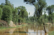 Irrigation canal with sheep grazing on banks beneath trees.