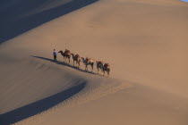 Silk Route. View looking down to man leading camels along ridge of sand dune