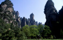 View looking up at forest of towering rock peaks