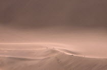 Sand dunes with people standing on the ridge in the distance