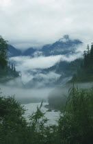 Low clouds in the tree lined valley with mountains above