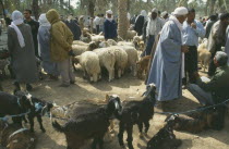 Livestock Market