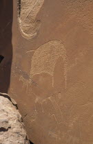 Bushman Art possibly dating from 3300BC in the desert depicting an elephant and hyenaAfrican Namibian Southern Africa History