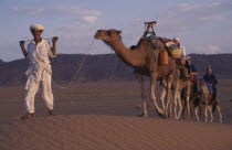 Guide leads Camels through the Desert