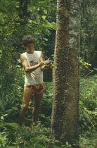 Rubber tapping