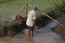 Man using water irrigation in paddy