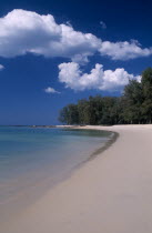 View along the empty sandy beach with tall trees.