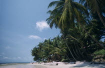 Cape esteries.Sandy beach lined with palmtrees