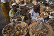 Women selling dried fish at market.West Africa