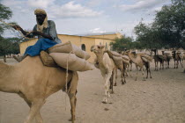 Loaded camel train