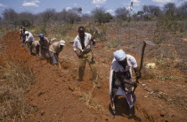 Line of men and women digging irrigation channel.