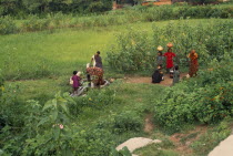 Indian women drawing water from tubewell in rural area.