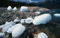 Large blocks of ice on the rocky shore.