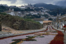 Easter Day parade route leading down hill towards town carpeted with flowers.  Brasil