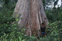 Rubber tapper Antonio Candido standing by a large tree in a forest saved by Chico Mendes. Brasil