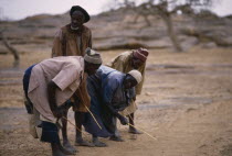 Dogon elders reading signs in the sand and make prophecies for the village.