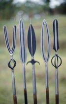 Tutsi spears.Watutusi