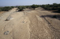 Dried up river bed.