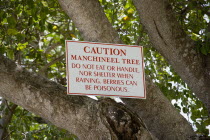 Warning sign on a poisonous manchineel tree on the beach at Sandy Lane