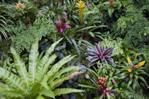 Francia plantation house greenhouse with tropical plants