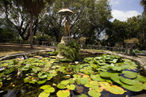 Francia plantation house gardens and waterlilly pond with fountain