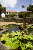 Francia plantation house gardens and waterlilly pond with fountain