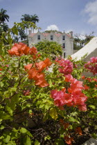 The Jacobean plantation house and garden of St Nicholas Abbey