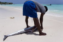 Fisherman gutting a King Fish on Worthing Beach