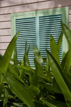 Brightly coloured Holetown Chattel house with tropical plants