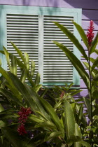 Brightly coloured Holetown Chattel house with tropical plants